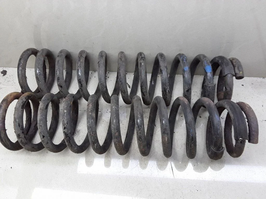 Rear coil spring