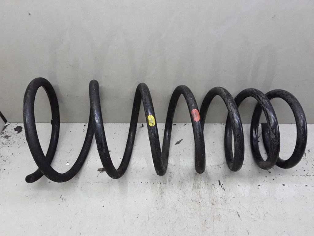 Rear coil spring