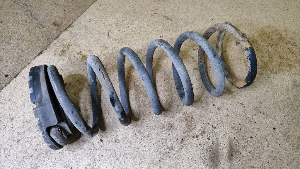 Rear coil spring