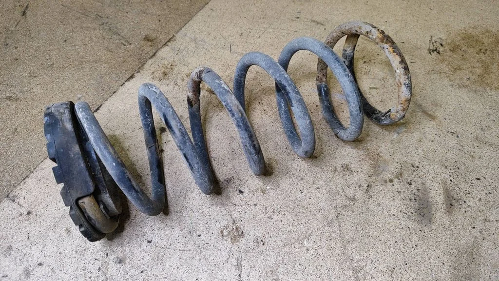 Rear coil spring