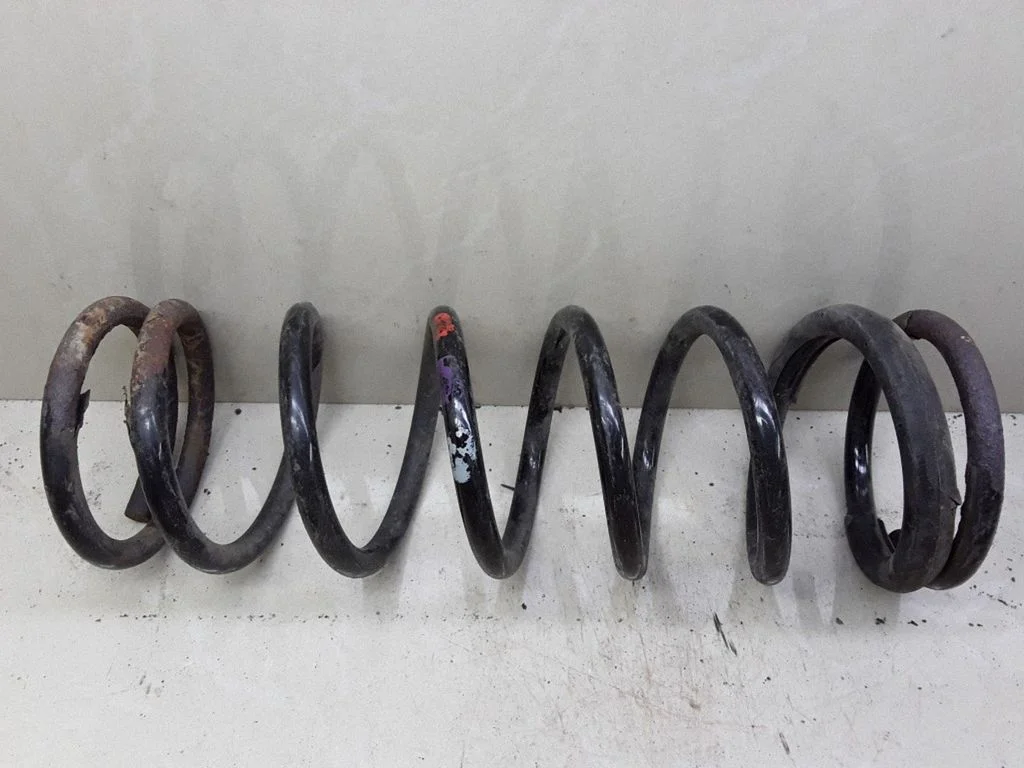 Rear coil spring