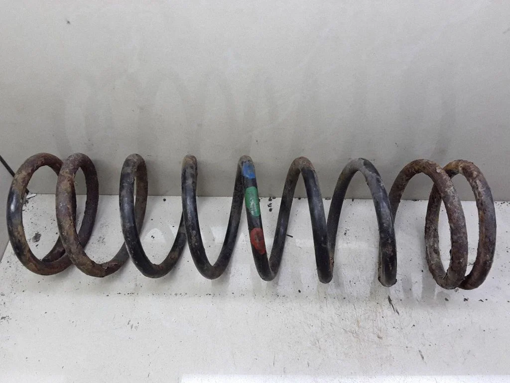 Rear coil spring