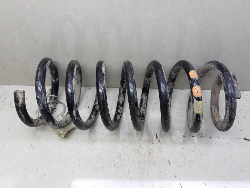 Rear coil spring