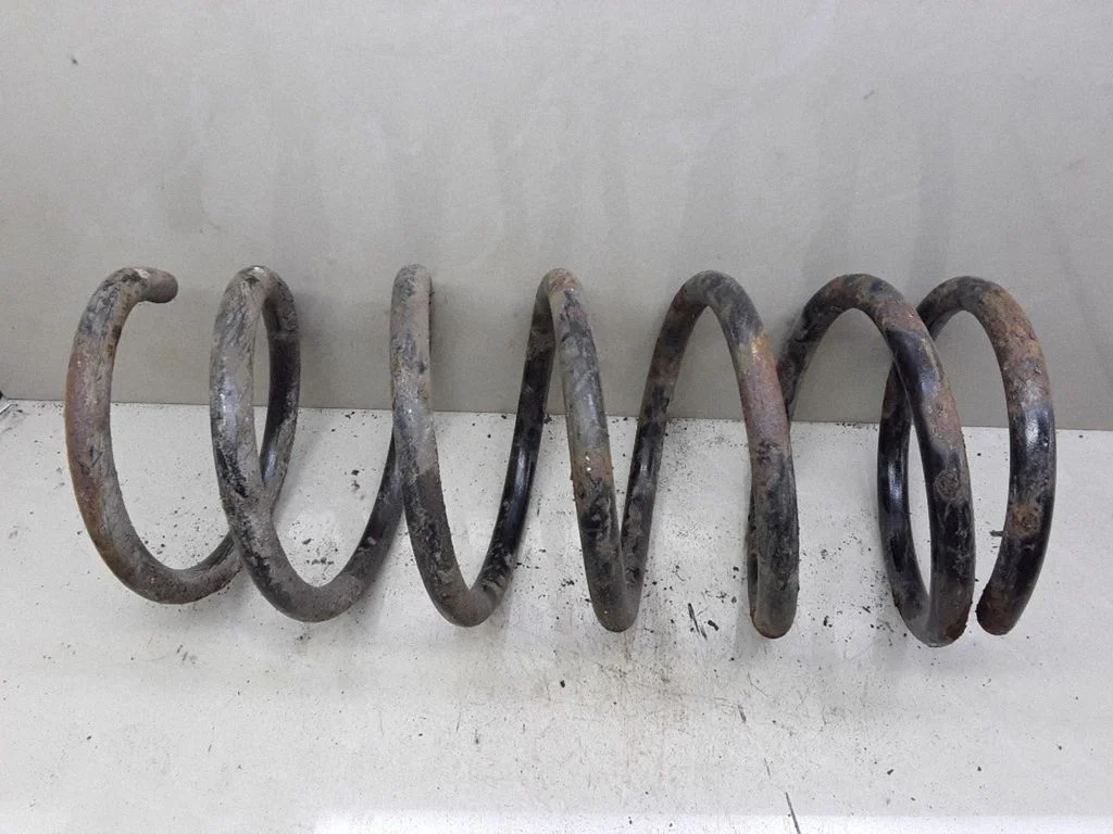 Rear coil spring