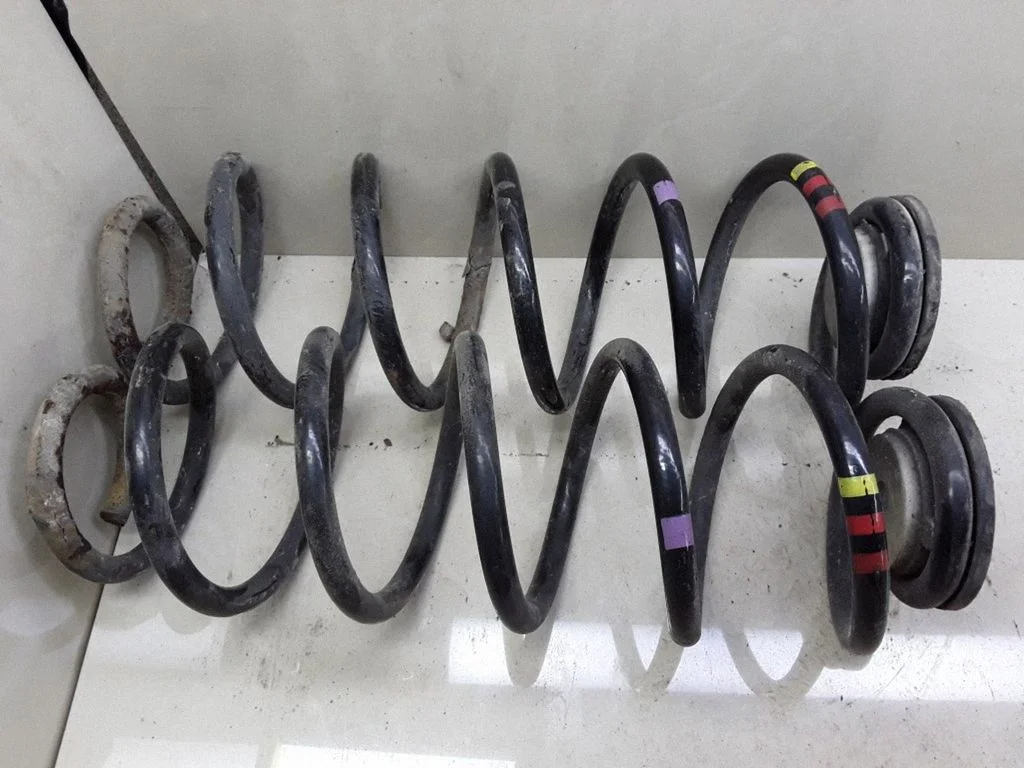 Rear coil spring