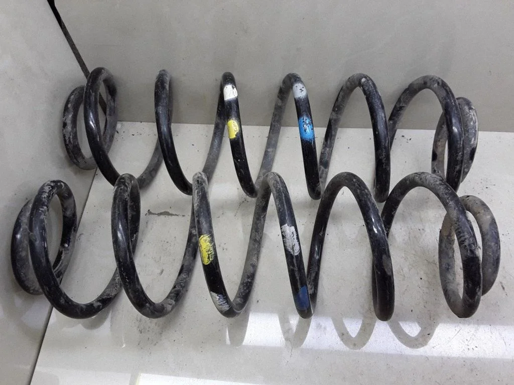 Rear coil spring