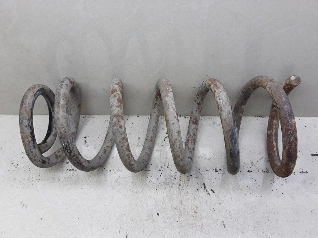 Rear coil spring