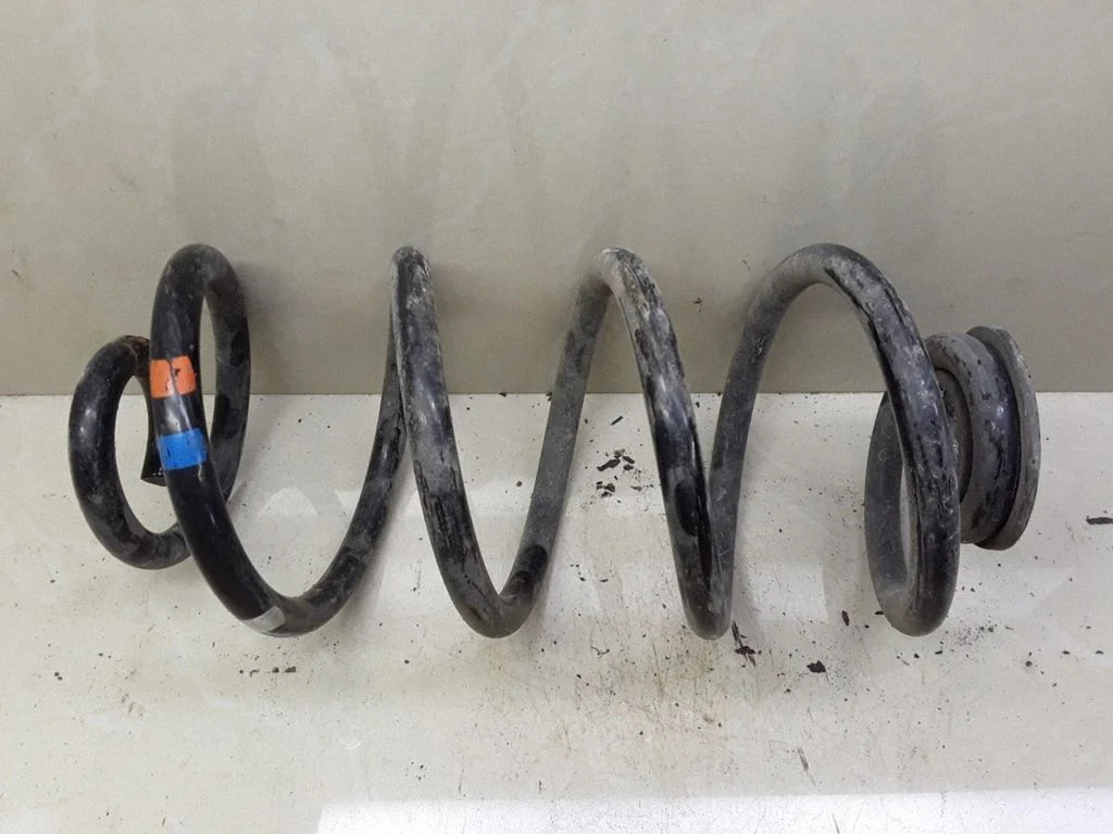 Rear coil spring