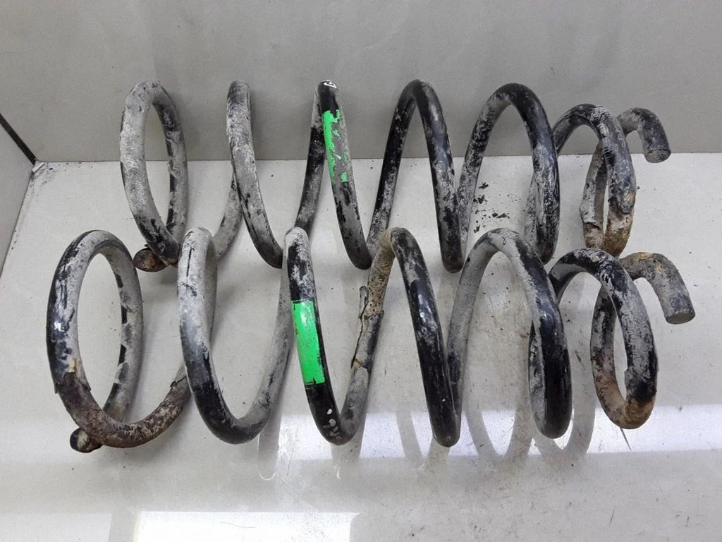 Rear coil spring