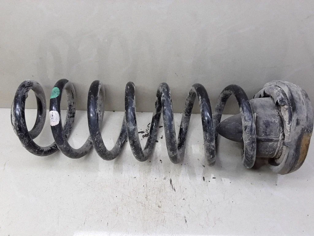 Rear coil spring
