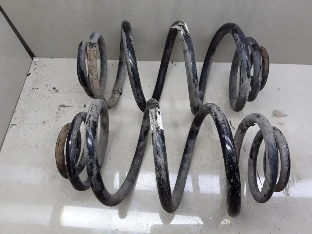 Rear coil spring