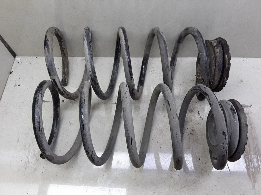 Rear coil spring