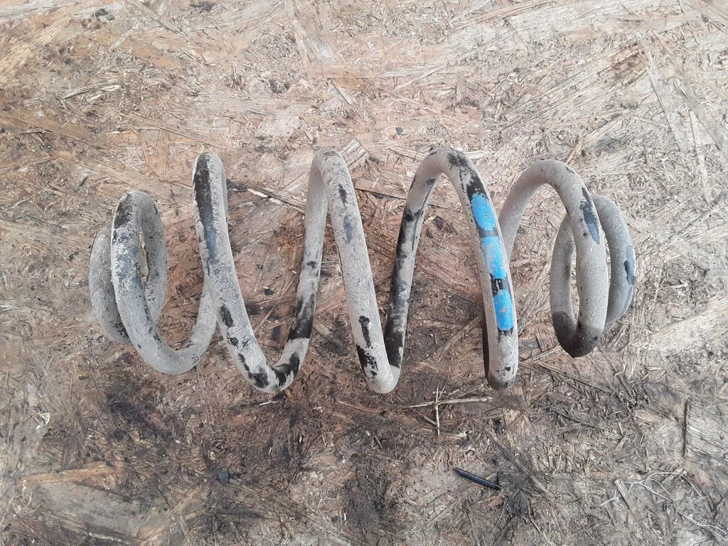 Rear coil spring