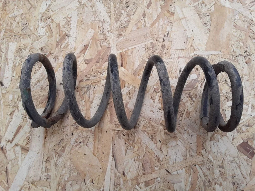 Rear coil spring