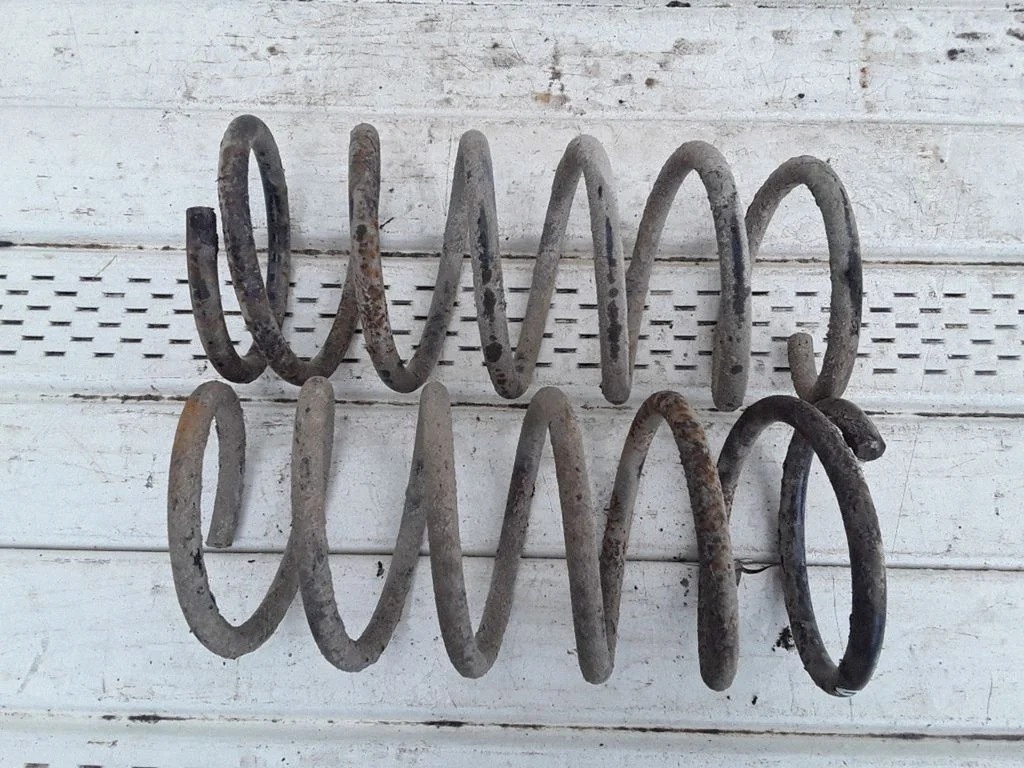 Rear coil spring