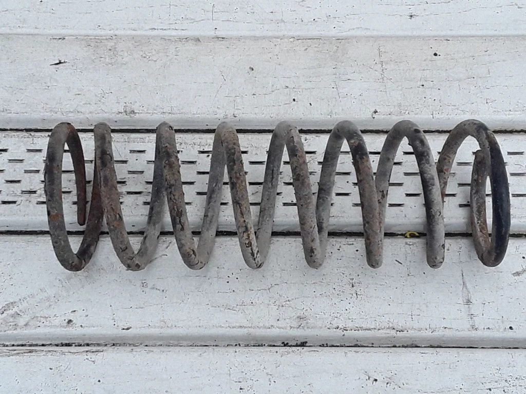 Rear coil spring