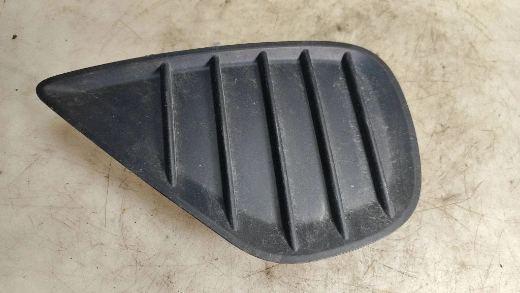 Front fog light trim/grill 814820D260