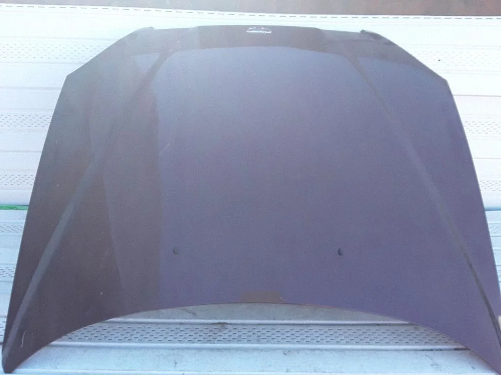 Engine bonnet/hood