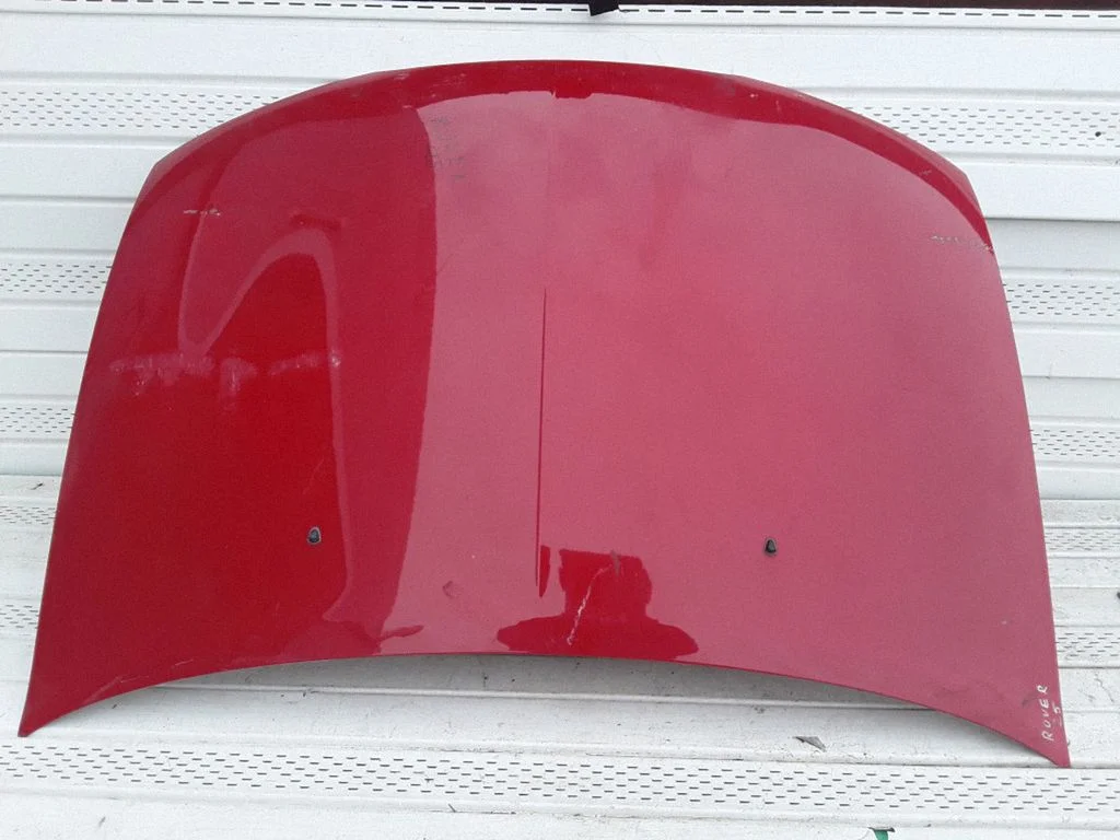 Engine bonnet/hood