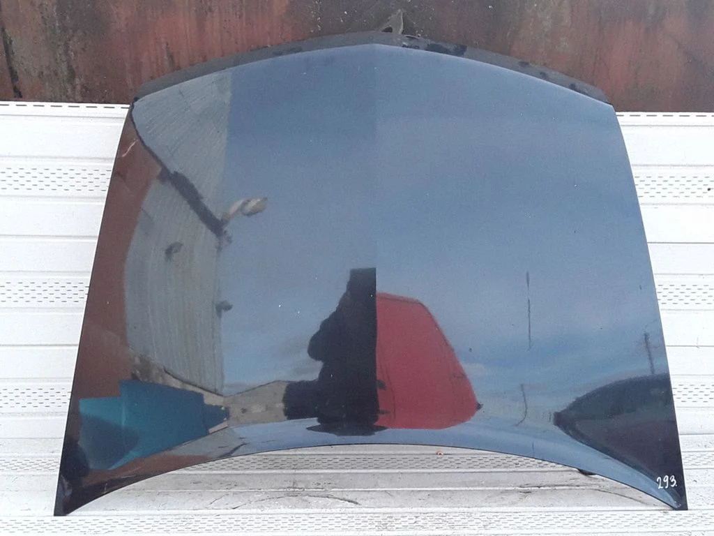 Engine bonnet/hood