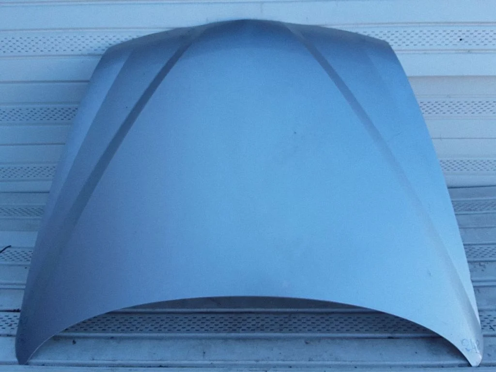 Engine bonnet/hood