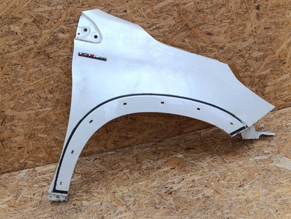 Błotnik 031873A01