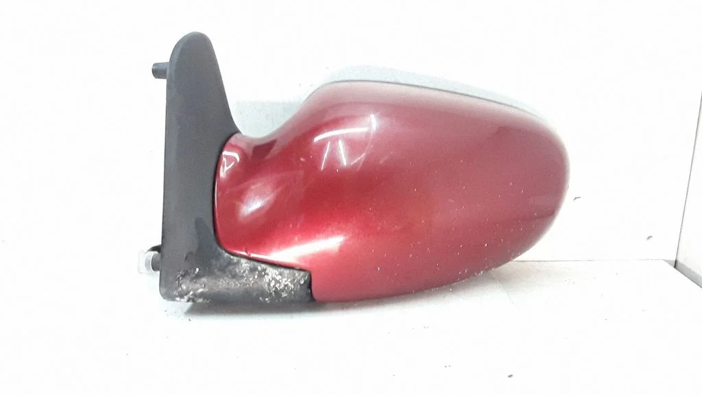 Front door electric wing mirror E1010414