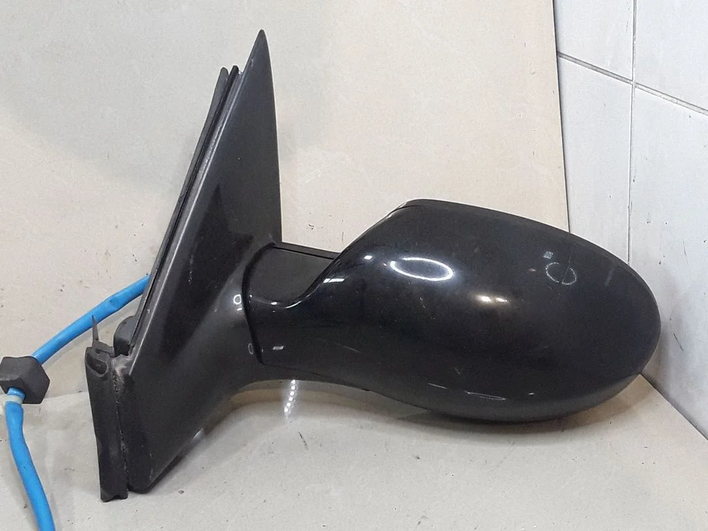Front door electric wing mirror E2019013