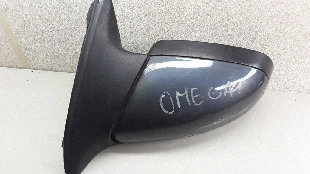 Front door electric wing mirror E1010357