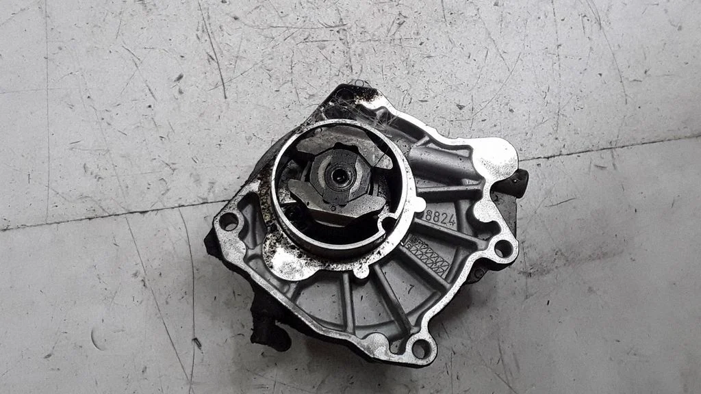Vacuum pump 55205446