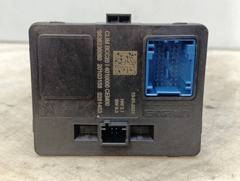 Other control units/modules 9836236080