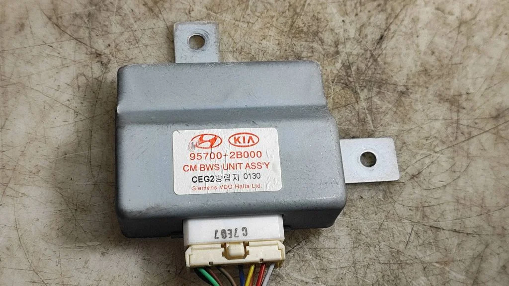 Parking PDC control unit/module – Hyundai Santa Fe (2006-2012)