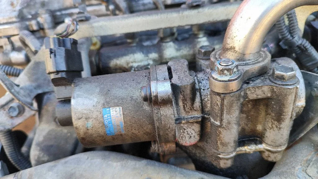 EGR-klapp 256200R010