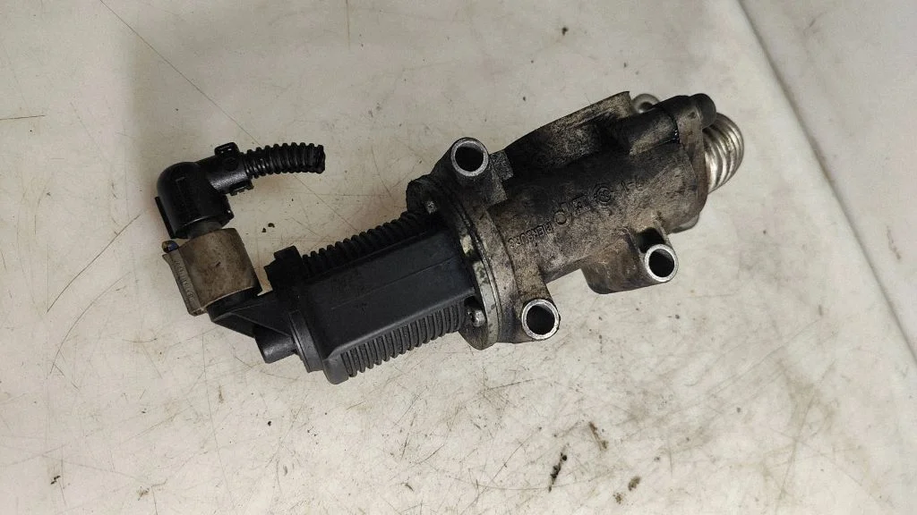 EGR-klapp 50024005