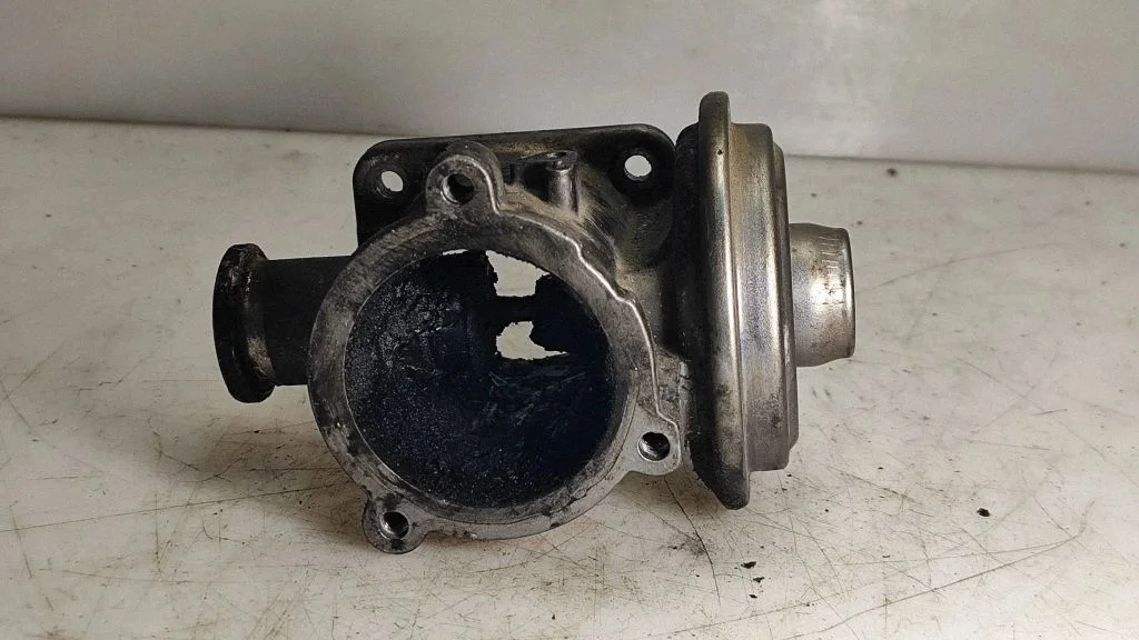 EGR-klapp 7791480
