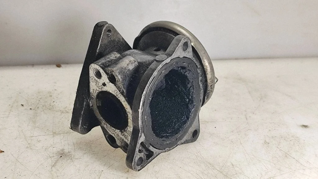 EGR-klapp 038131501S