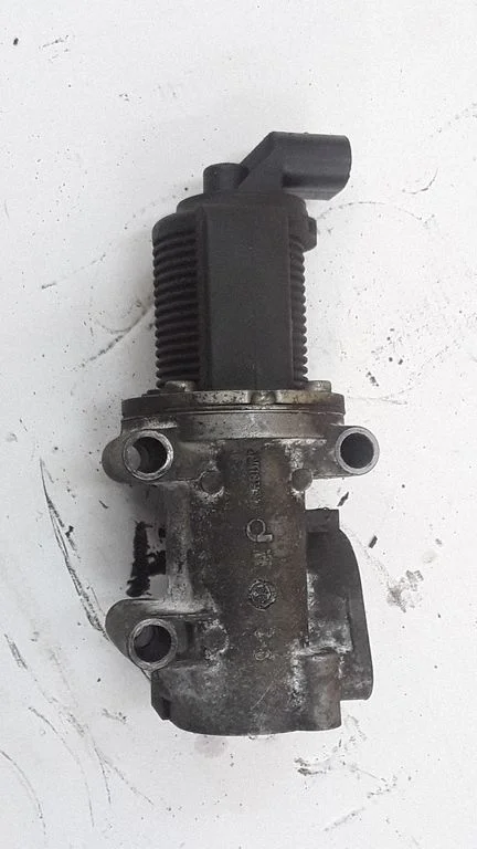 EGR-klapp 50024005