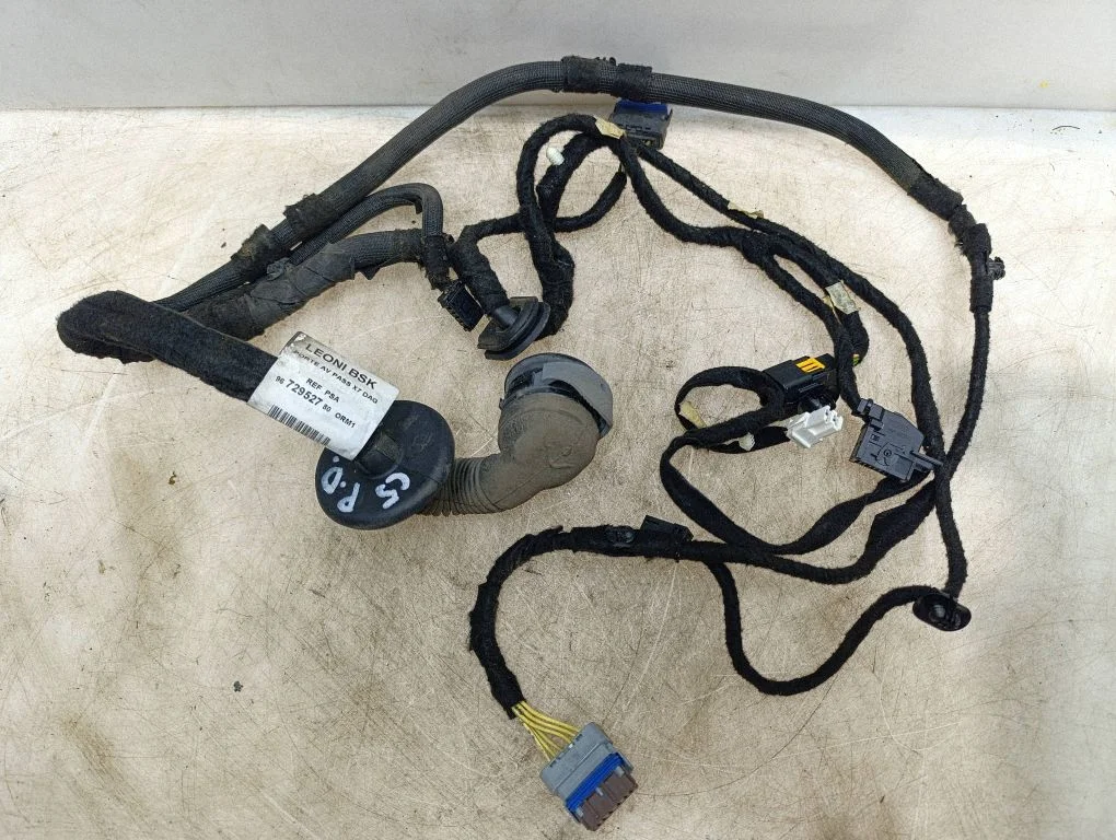 Front door wiring loom 9672952780