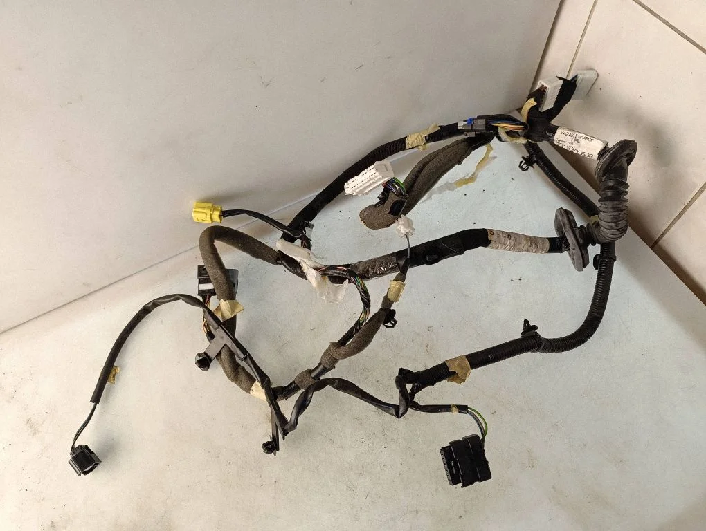 Front door wiring loom 241240260R