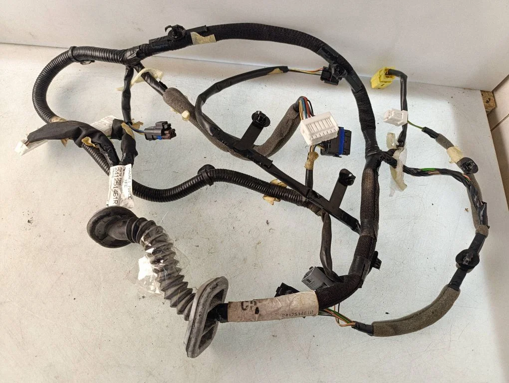 Front door wiring loom 241251461R