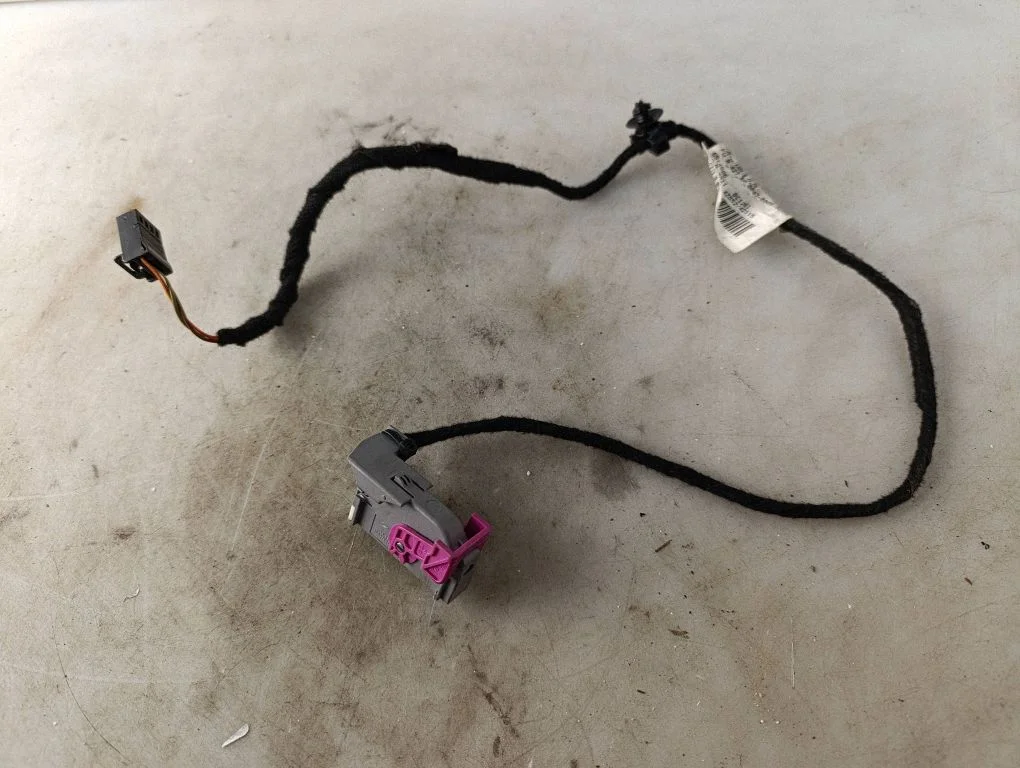 Front door wiring loom 3AB971558A