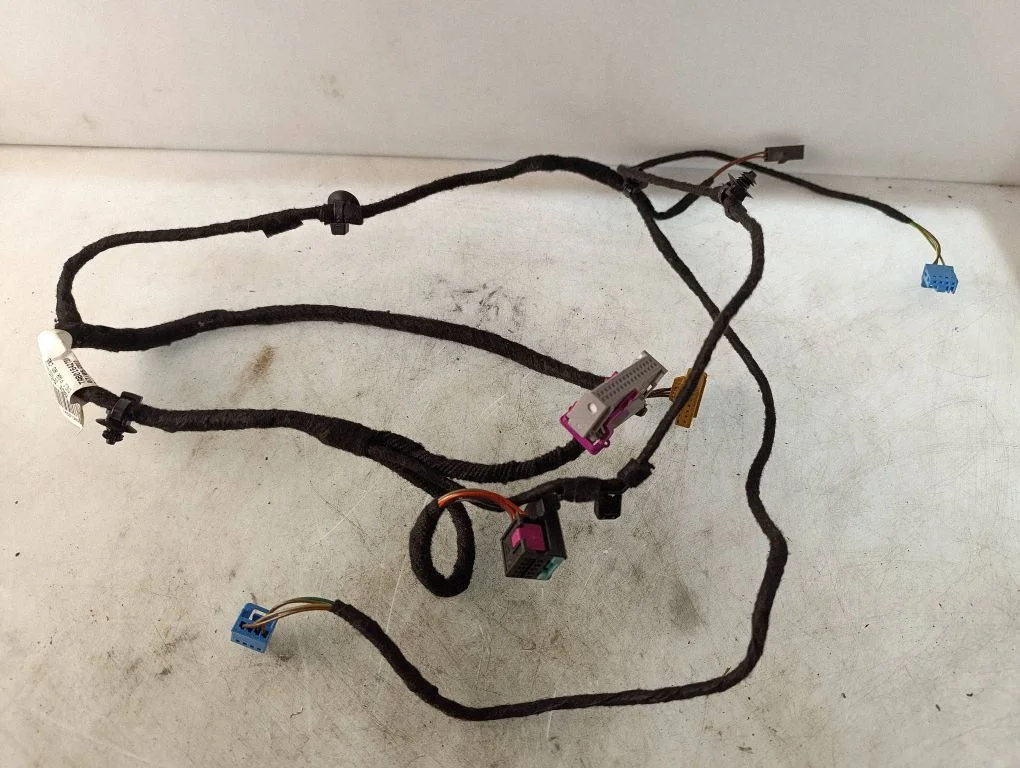 Front door wiring loom 3AB971557B