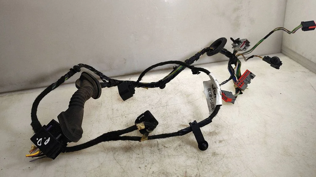 Front door wiring loom 12336651000