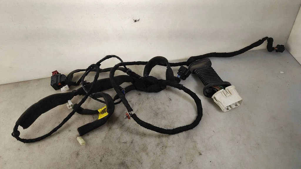 Priekšējo durvju vadu instalācija F056243