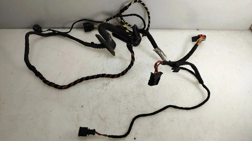 Front door wiring loom 3C8971120BS