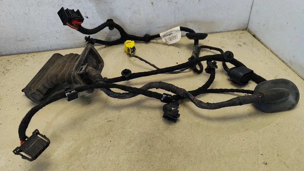 Front door wiring loom 3C2971120P