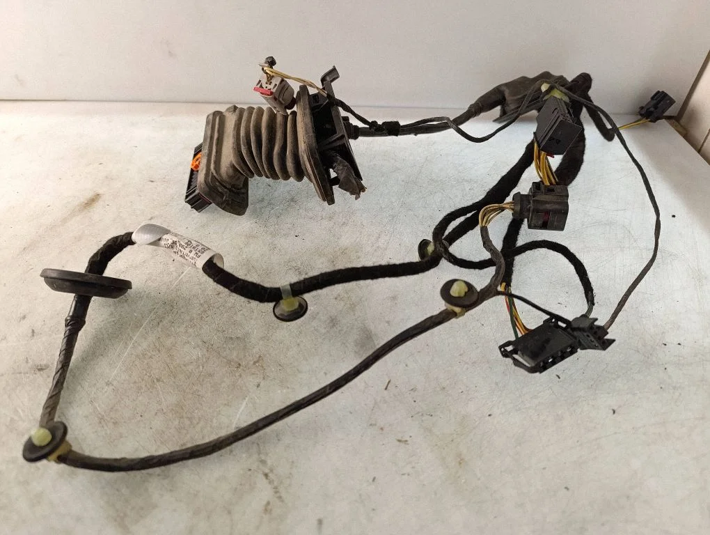 Rear door wiring loom 3AA971693CD