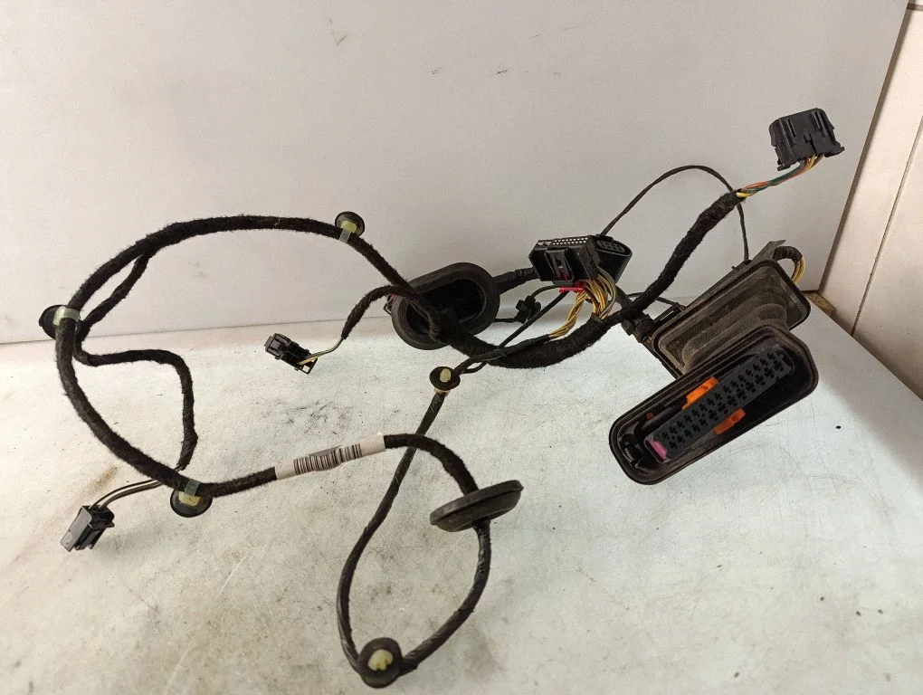 Rear door wiring loom 3AA971694CD