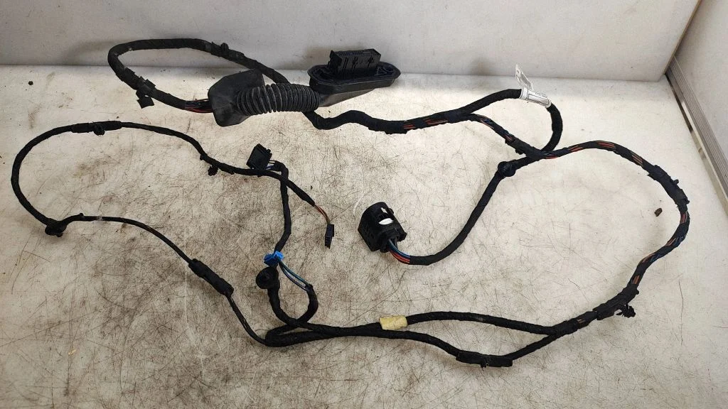 Rear door wiring loom 9811253