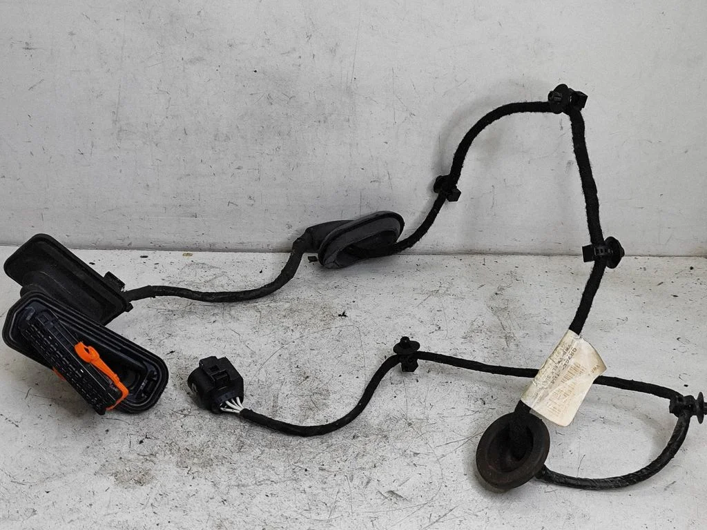 Rear door wiring loom 3C09876531